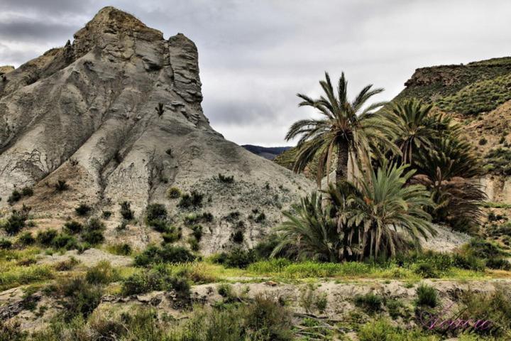 Alojamiento Las Dunas Bajo Tabernas Bagian luar foto